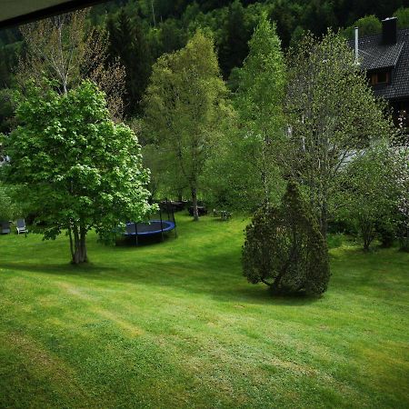 B1 Albmatte-Fewo Sauna, Hallenbad Aussenbecken Massagen Nebenan Menzenschwand-Hinterdorf Buitenkant foto