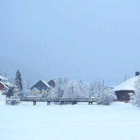 B1 Albmatte-Fewo Sauna, Hallenbad Aussenbecken Massagen Nebenan Menzenschwand-Hinterdorf Buitenkant foto