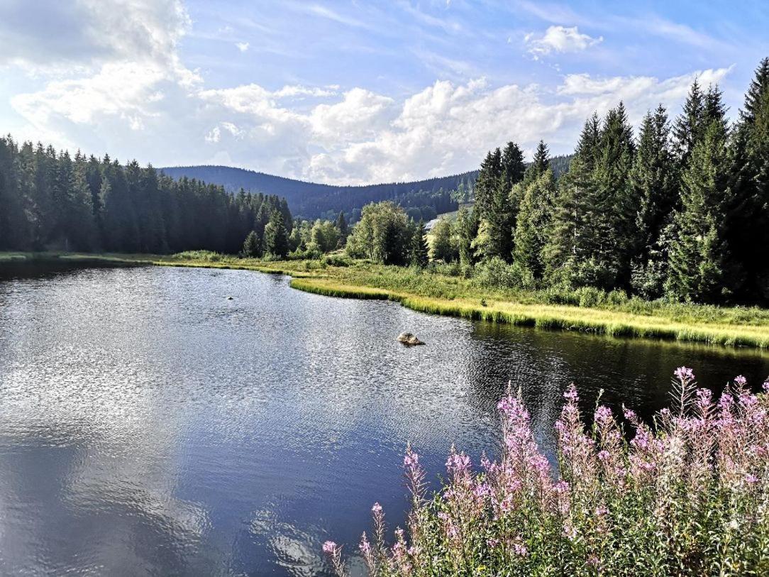 B1 Albmatte-Fewo Sauna, Hallenbad Aussenbecken Massagen Nebenan Menzenschwand-Hinterdorf Buitenkant foto