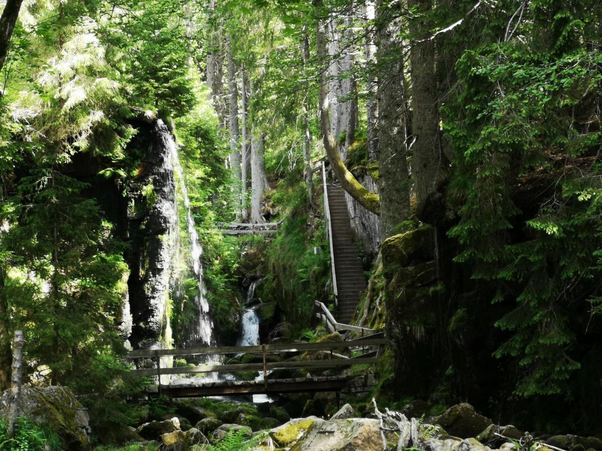 B1 Albmatte-Fewo Sauna, Hallenbad Aussenbecken Massagen Nebenan Menzenschwand-Hinterdorf Buitenkant foto