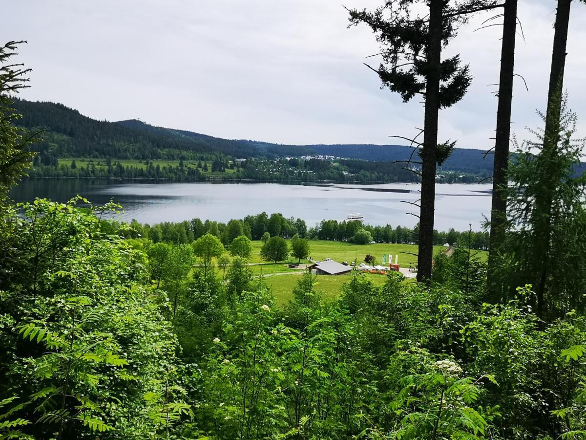 B1 Albmatte-Fewo Sauna, Hallenbad Aussenbecken Massagen Nebenan Menzenschwand-Hinterdorf Buitenkant foto
