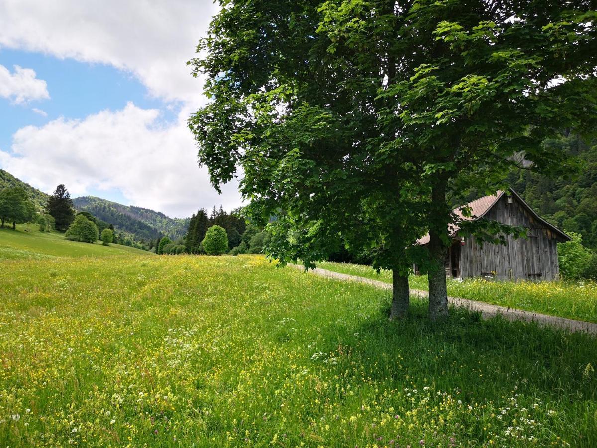 B1 Albmatte-Fewo Sauna, Hallenbad Aussenbecken Massagen Nebenan Menzenschwand-Hinterdorf Buitenkant foto