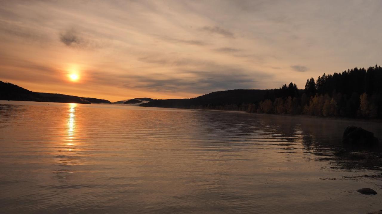 B1 Albmatte-Fewo Sauna, Hallenbad Aussenbecken Massagen Nebenan Menzenschwand-Hinterdorf Buitenkant foto