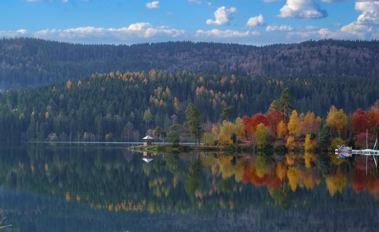 B1 Albmatte-Fewo Sauna, Hallenbad Aussenbecken Massagen Nebenan Menzenschwand-Hinterdorf Buitenkant foto