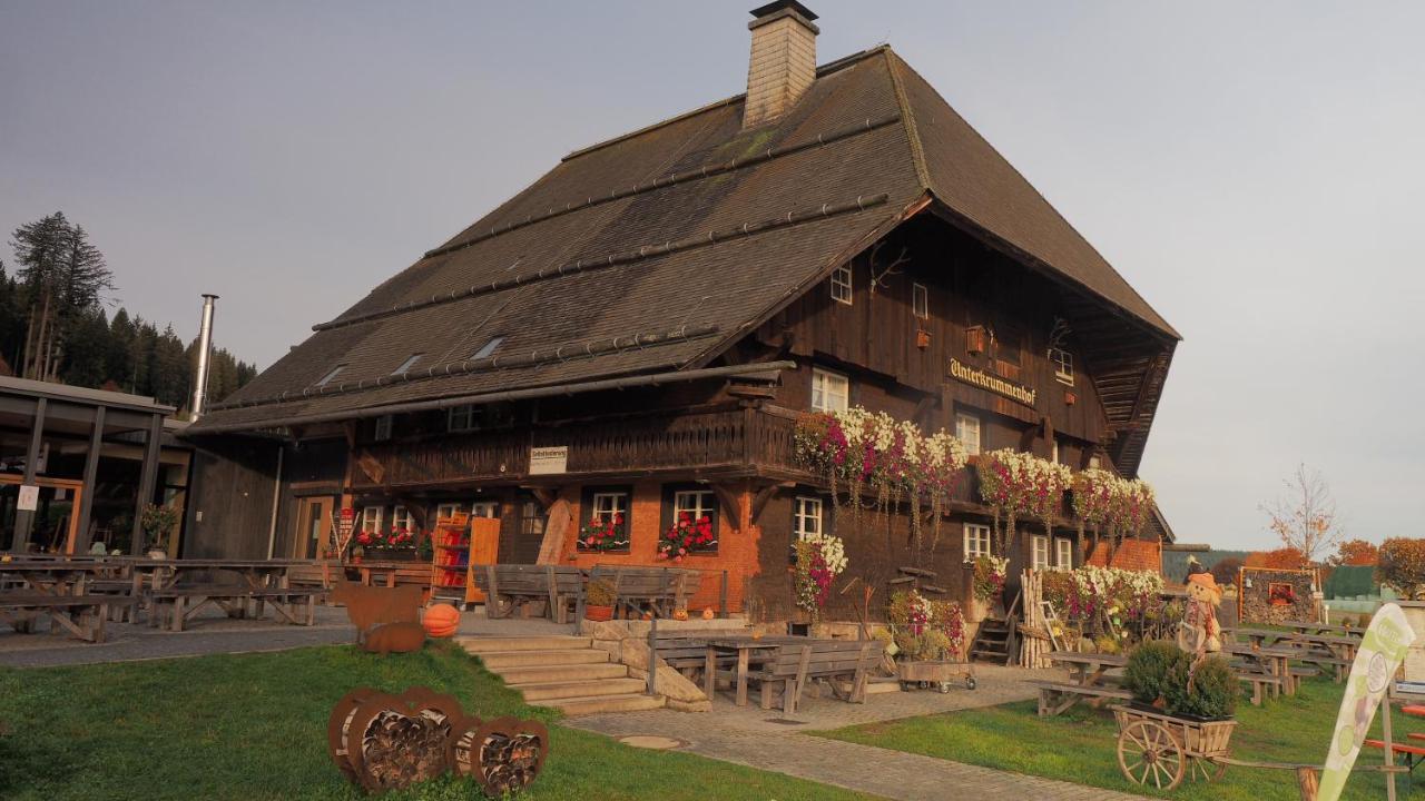 B1 Albmatte-Fewo Sauna, Hallenbad Aussenbecken Massagen Nebenan Menzenschwand-Hinterdorf Buitenkant foto