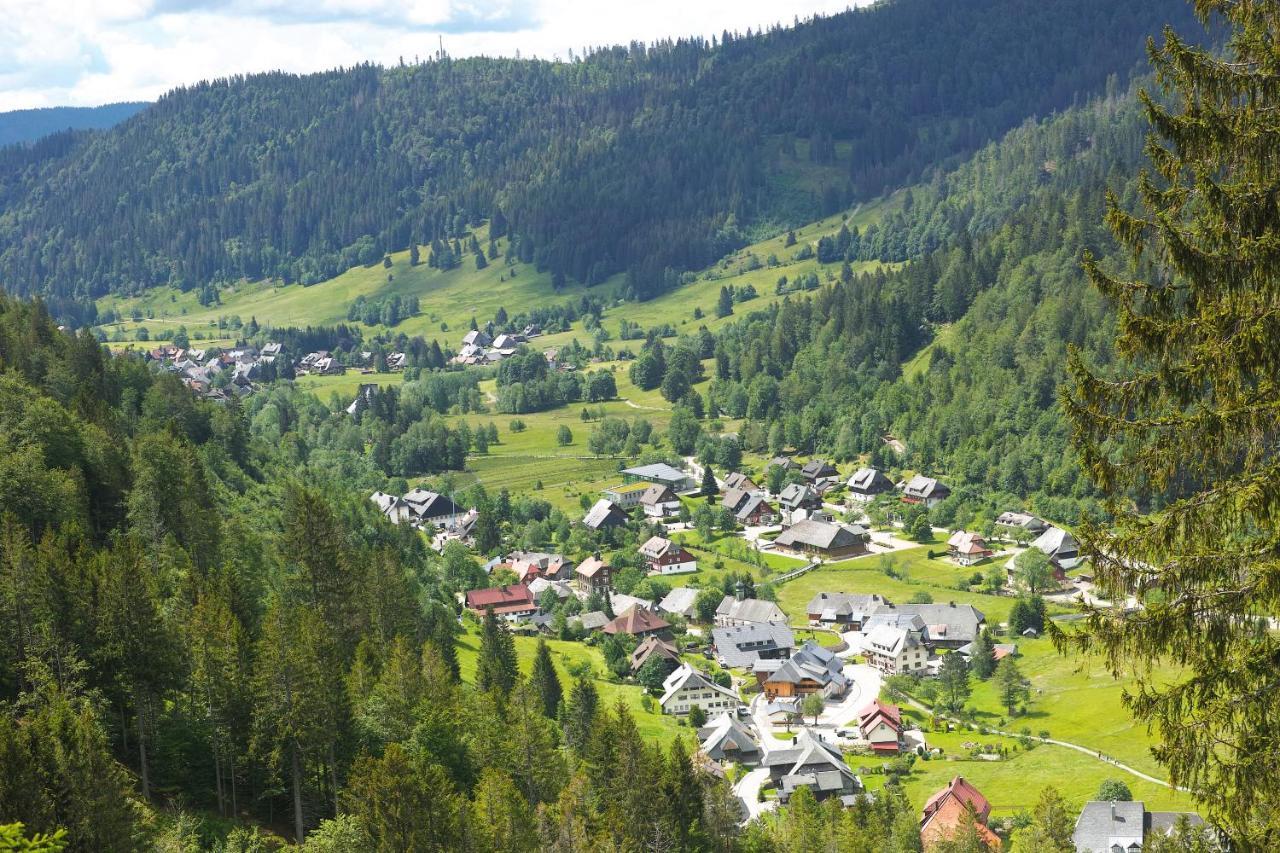 B1 Albmatte-Fewo Sauna, Hallenbad Aussenbecken Massagen Nebenan Menzenschwand-Hinterdorf Buitenkant foto