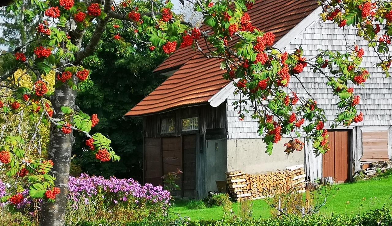 B1 Albmatte-Fewo Sauna, Hallenbad Aussenbecken Massagen Nebenan Menzenschwand-Hinterdorf Buitenkant foto