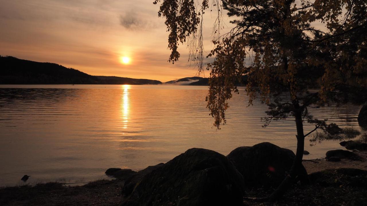 B1 Albmatte-Fewo Sauna, Hallenbad Aussenbecken Massagen Nebenan Menzenschwand-Hinterdorf Buitenkant foto