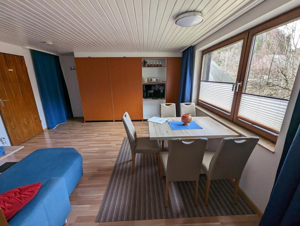 B1 Albmatte-Fewo Sauna, Hallenbad Aussenbecken Massagen Nebenan Menzenschwand-Hinterdorf Buitenkant foto