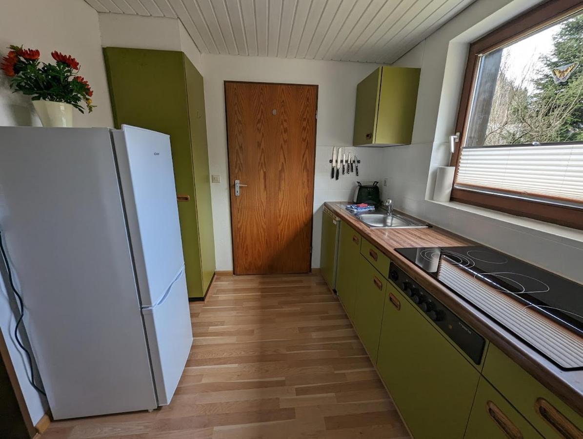 B1 Albmatte-Fewo Sauna, Hallenbad Aussenbecken Massagen Nebenan Menzenschwand-Hinterdorf Buitenkant foto