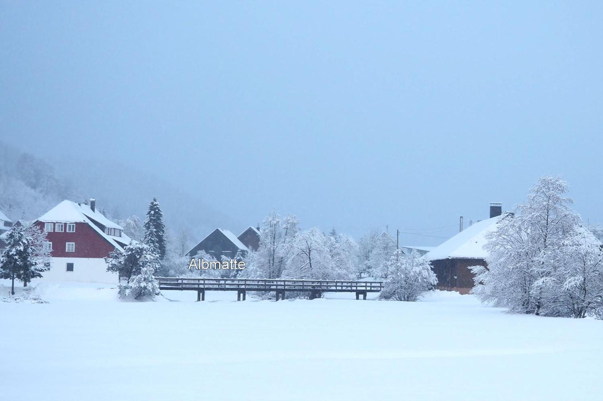 B1 Albmatte-Fewo Sauna, Hallenbad Aussenbecken Massagen Nebenan Menzenschwand-Hinterdorf Buitenkant foto