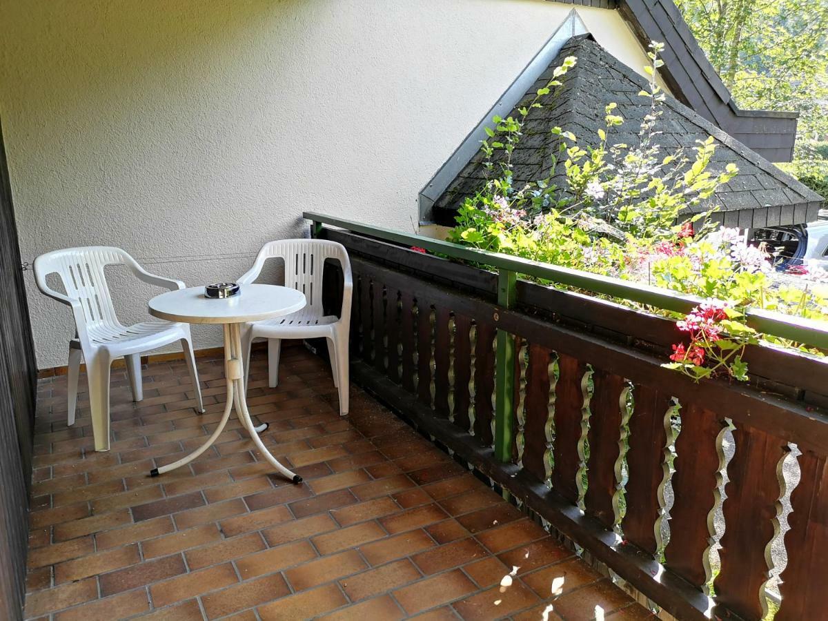 B1 Albmatte-Fewo Sauna, Hallenbad Aussenbecken Massagen Nebenan Menzenschwand-Hinterdorf Buitenkant foto
