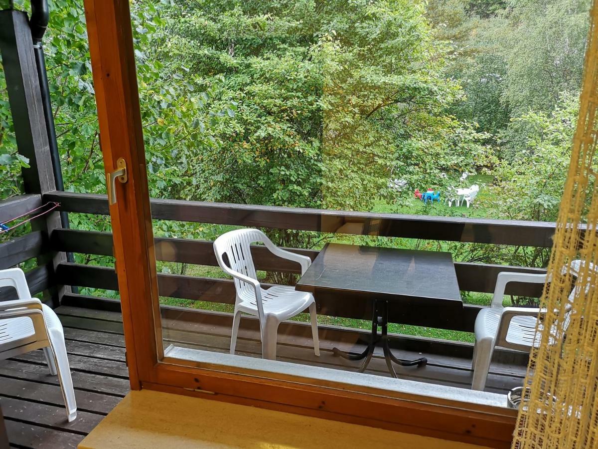B1 Albmatte-Fewo Sauna, Hallenbad Aussenbecken Massagen Nebenan Menzenschwand-Hinterdorf Buitenkant foto