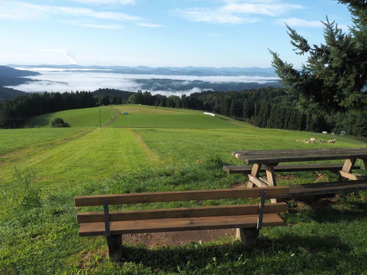 B1 Albmatte-Fewo Sauna, Hallenbad Aussenbecken Massagen Nebenan Menzenschwand-Hinterdorf Buitenkant foto