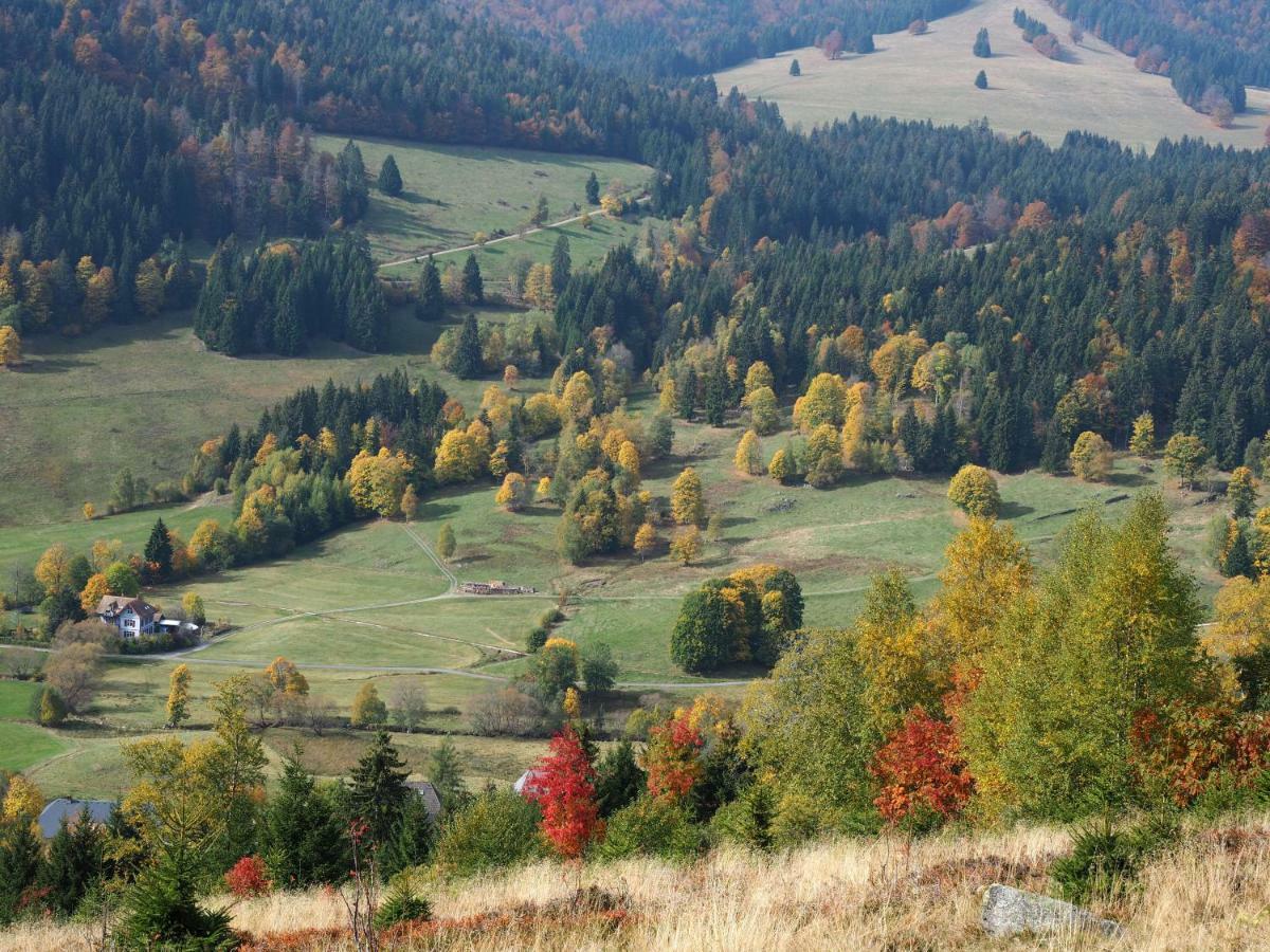 B1 Albmatte-Fewo Sauna, Hallenbad Aussenbecken Massagen Nebenan Menzenschwand-Hinterdorf Buitenkant foto