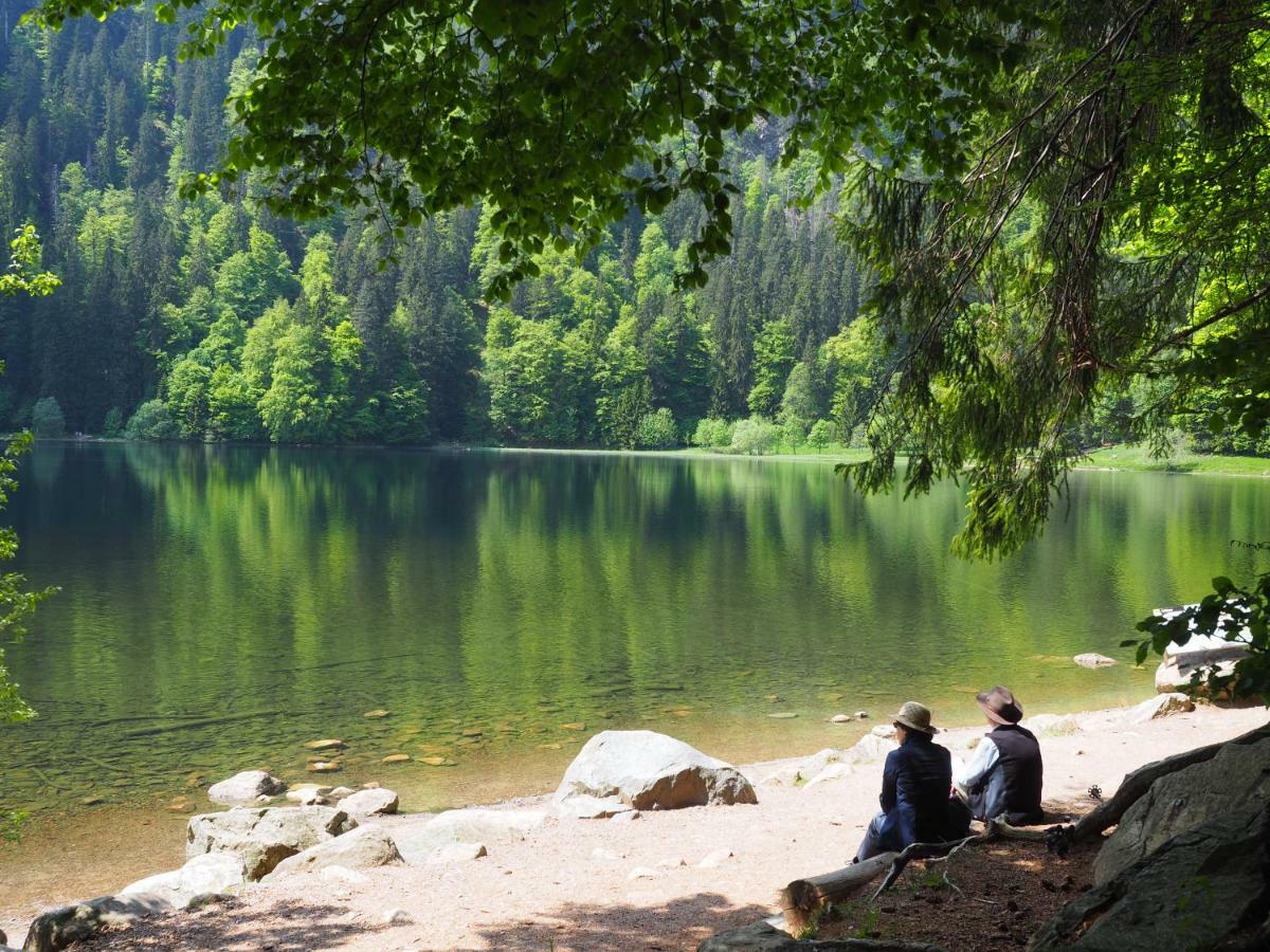 B1 Albmatte-Fewo Sauna, Hallenbad Aussenbecken Massagen Nebenan Menzenschwand-Hinterdorf Buitenkant foto