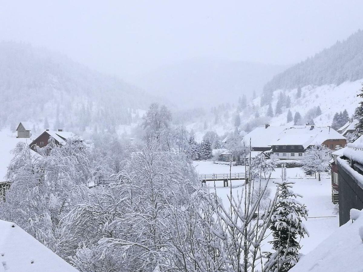 B1 Albmatte-Fewo Sauna, Hallenbad Aussenbecken Massagen Nebenan Menzenschwand-Hinterdorf Buitenkant foto