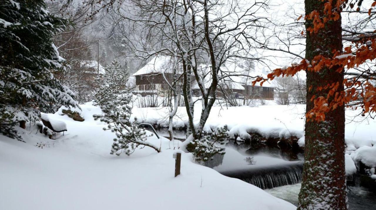 B1 Albmatte-Fewo Sauna, Hallenbad Aussenbecken Massagen Nebenan Menzenschwand-Hinterdorf Buitenkant foto